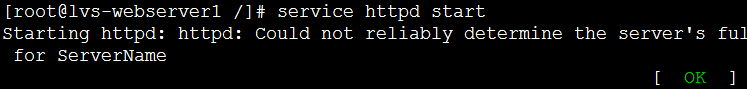 11.jpeg