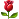 17.png