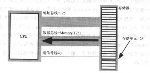 6.jpeg