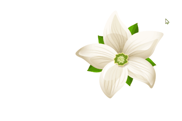 5.gif