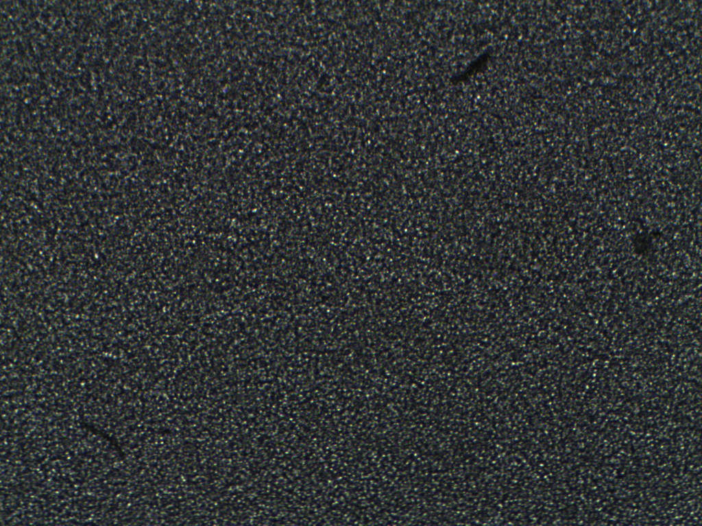 20.bmp