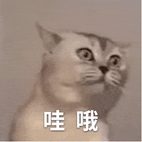 19.gif