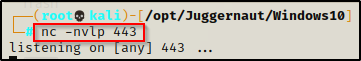 17.png