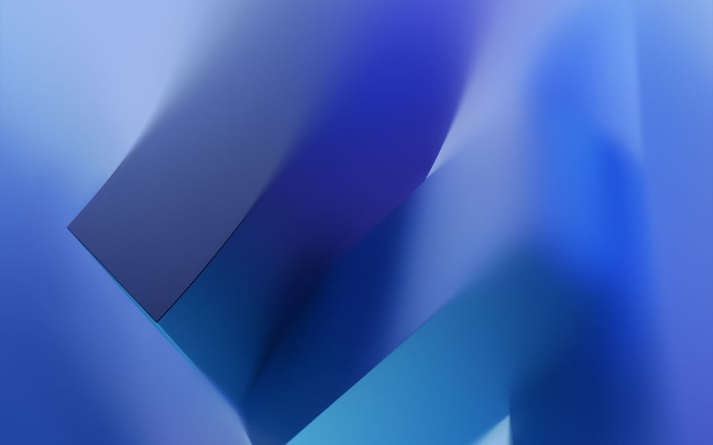 13.jpeg