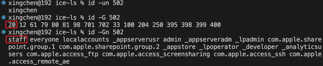 8.webp