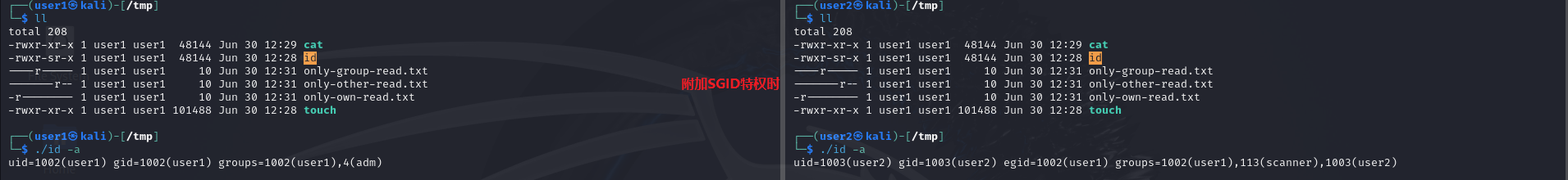 7.png