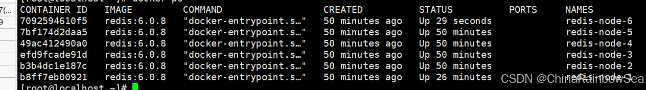 48.png