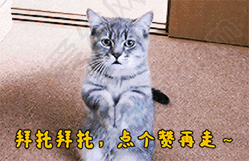 25.gif