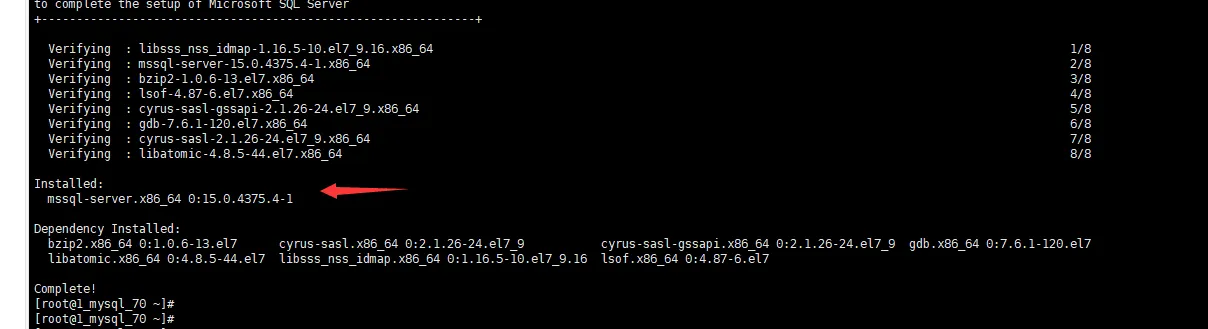 5.webp