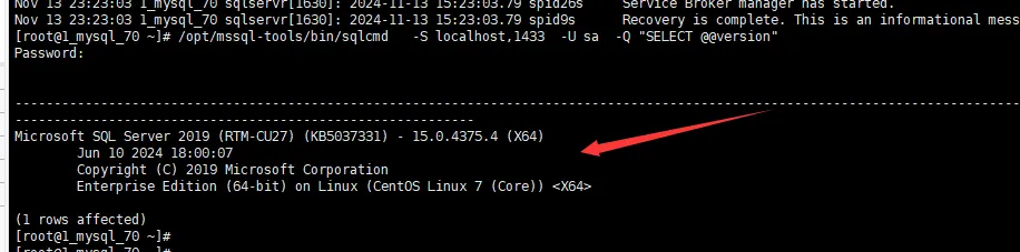 7.webp