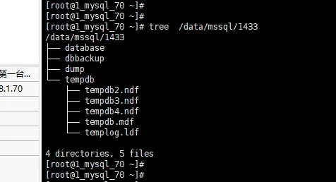 11.webp