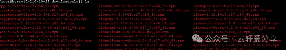 5.webp