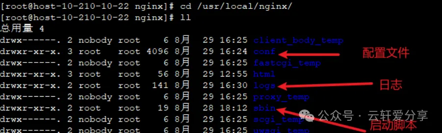 7.webp
