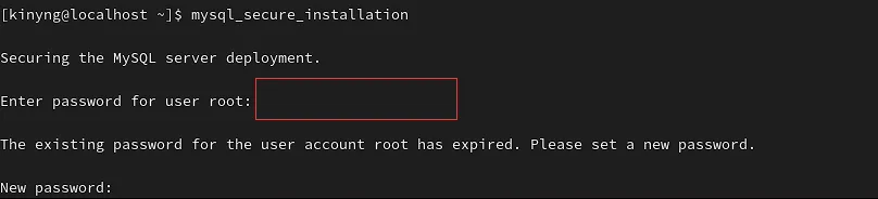 5.webp