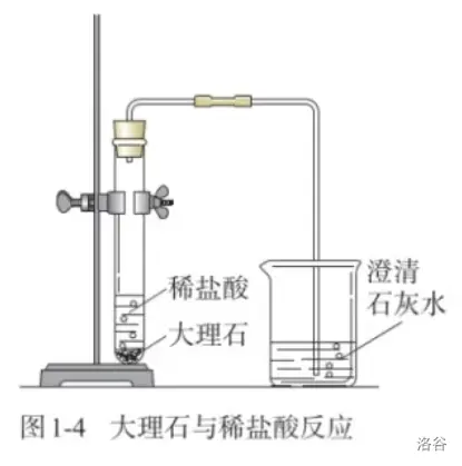10.webp