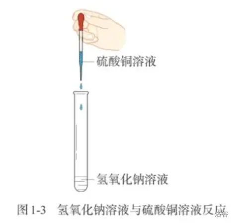 9.webp