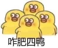 2.jpeg