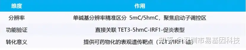 11.webp
