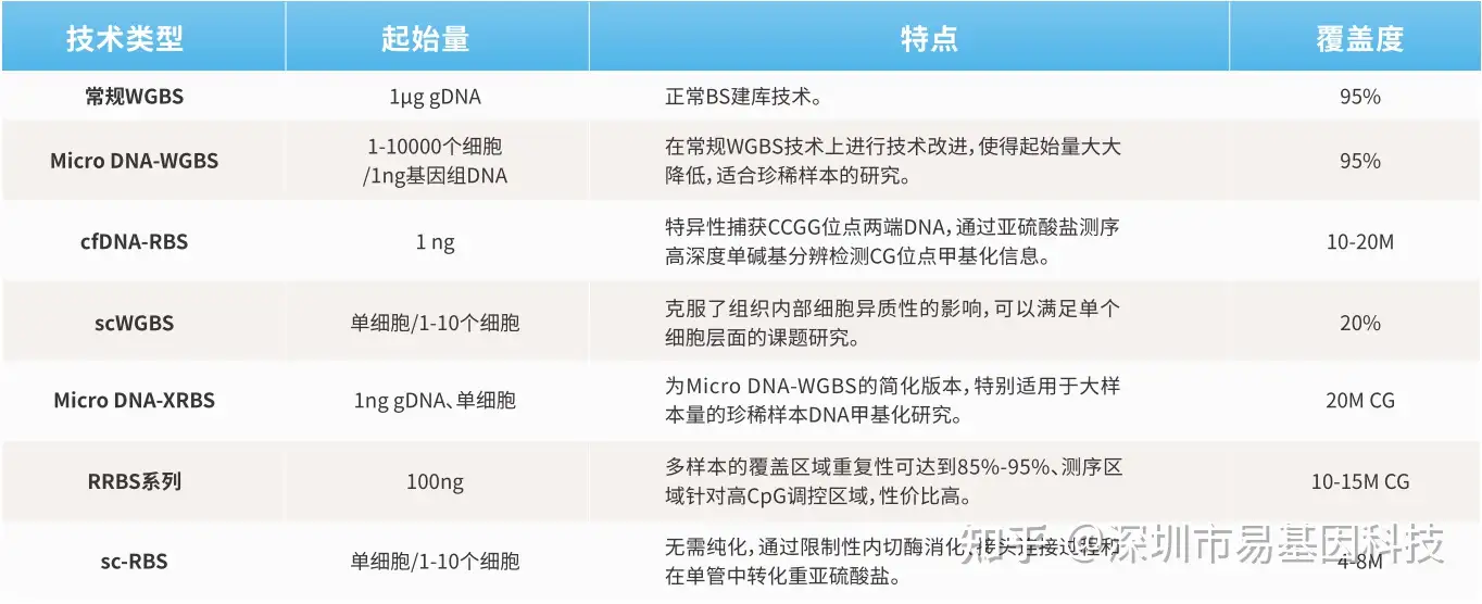 12.webp
