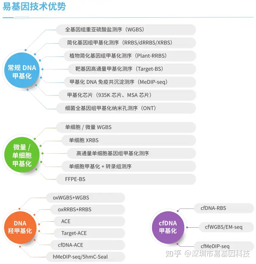 13.webp