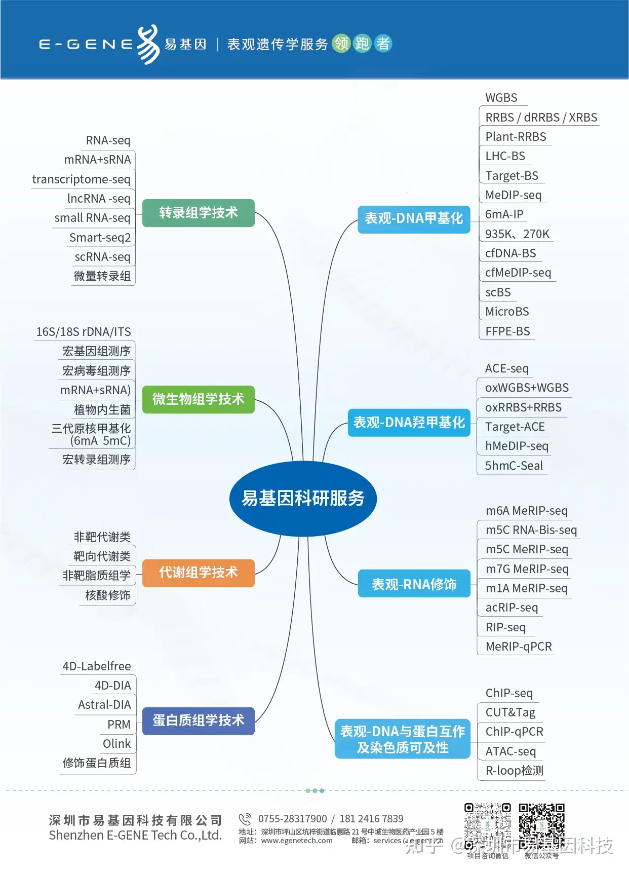 14.webp